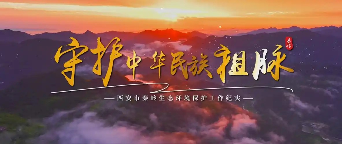 人物专访与主题纪录片创作